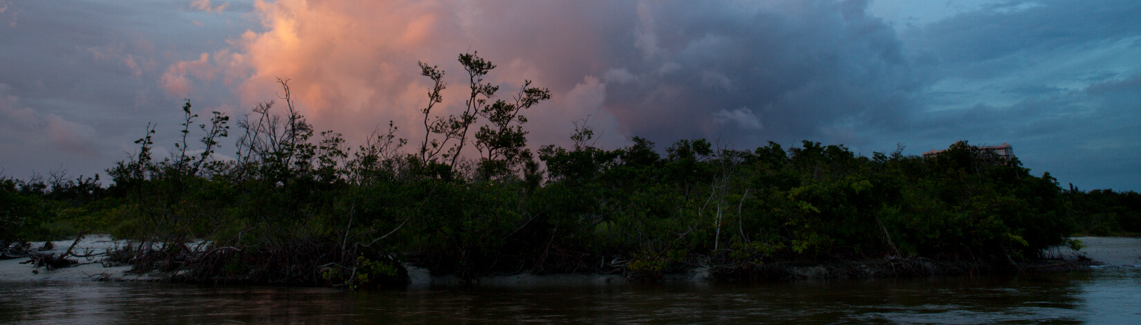 A storm cloud photographed at sunset over a coastal mangrove in Naples, Florida
