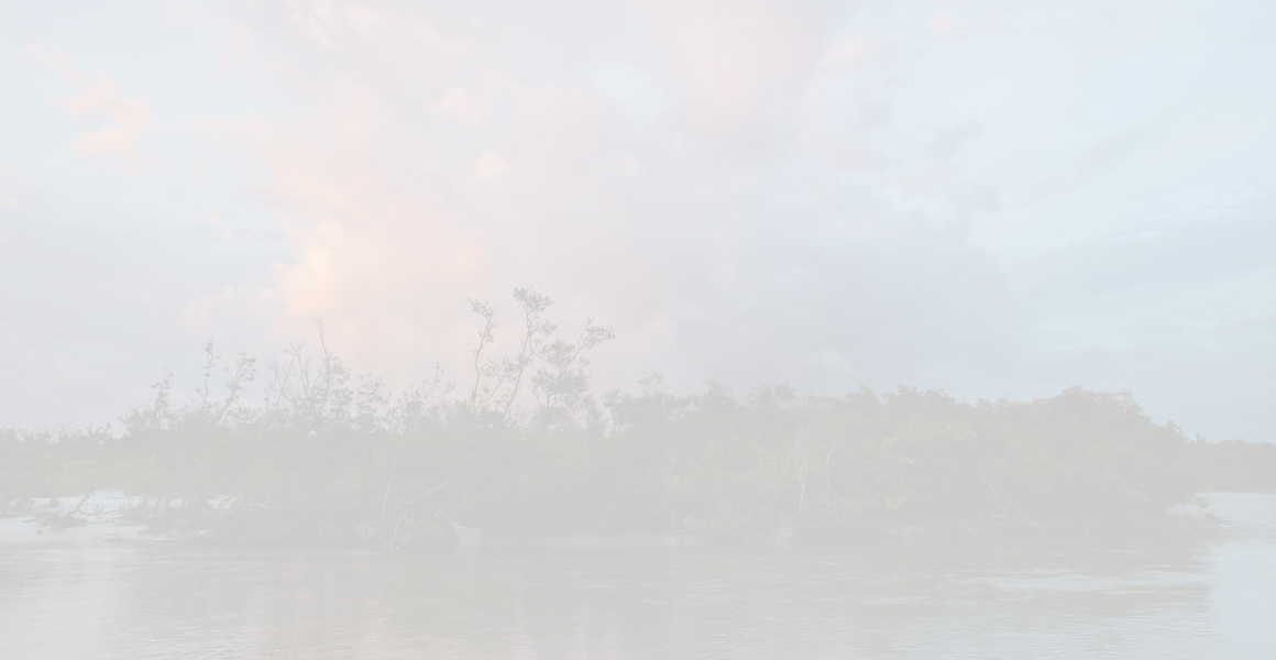 A storm cloud photographed at sunset over a coastal mangrove in Naples, Florida