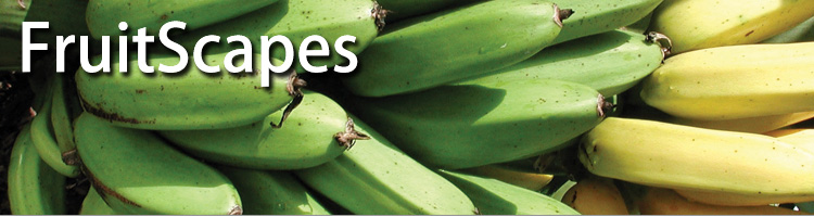 FruitScapes: Banana