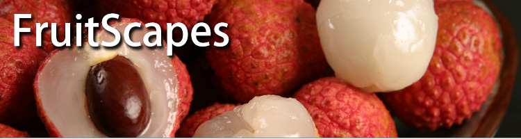 FruitScapes: Lychee