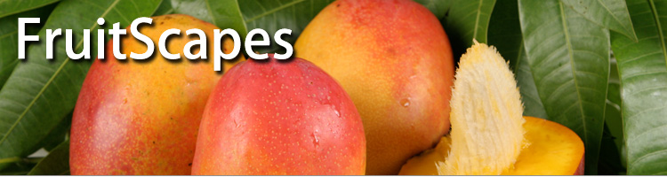 FruitScapes: Mango