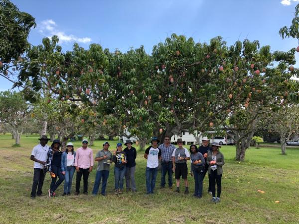 class visiting the Mango Factory mango farm on Pine Island