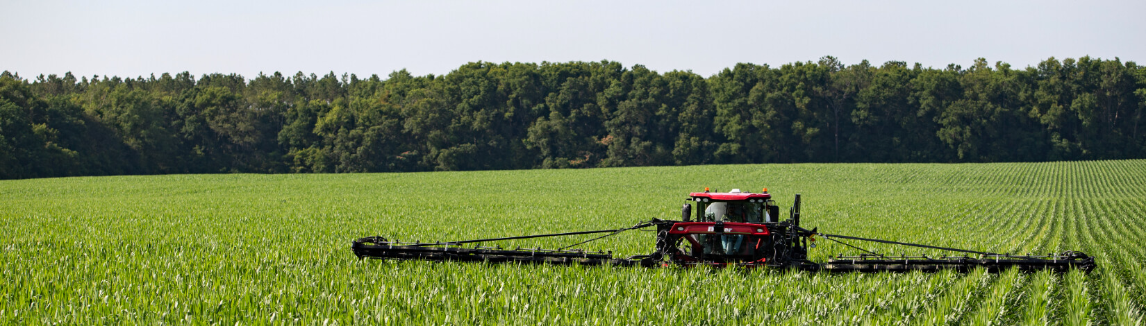 elevated tractor applying fertilizer to a corn field