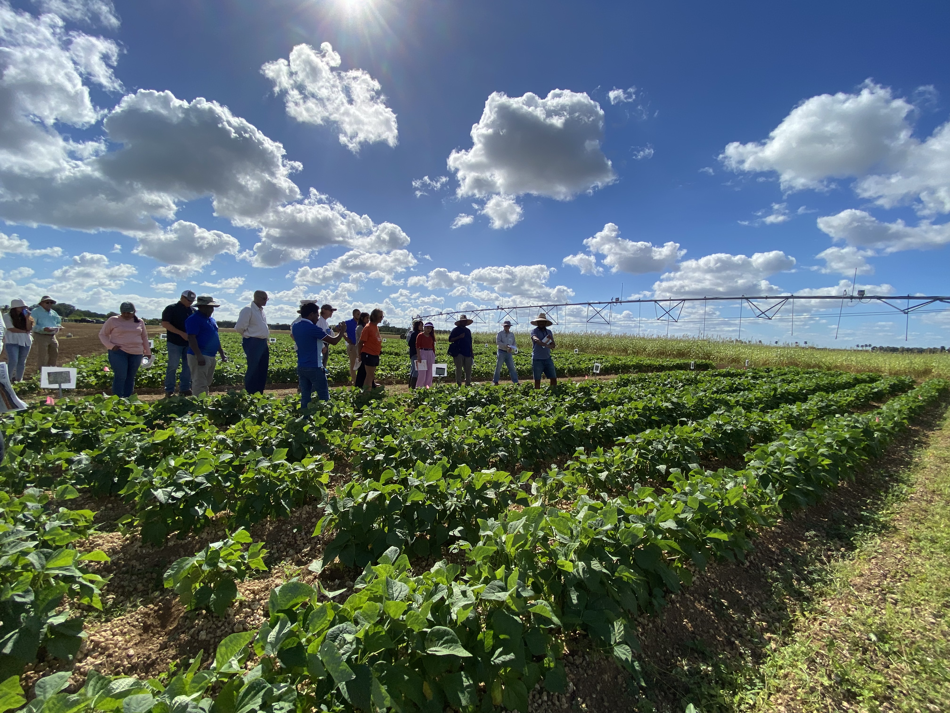 Field Day at UF IFAS TREC.